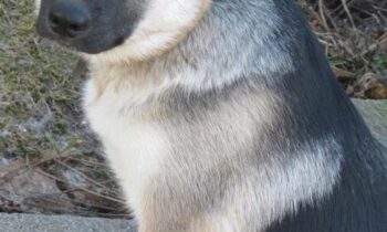 QUESTIONS TO ASK ABOUT TRAINING CLASSES