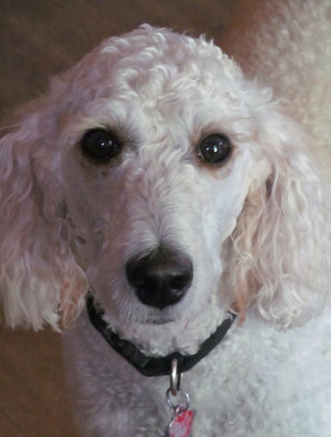 gracieinsidefullface