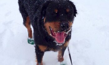 WHAT’S A SNIFFSPOT?