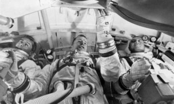 YOUR FAMILY PET—TREATS