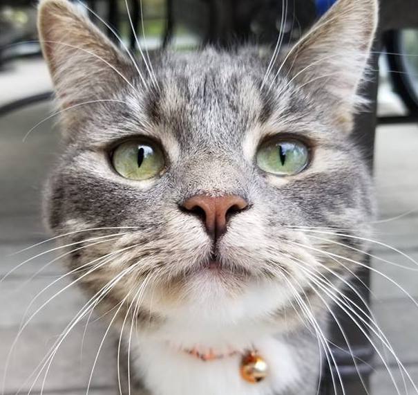 | Fox 11 Tri Cities Fox 41 Yakima