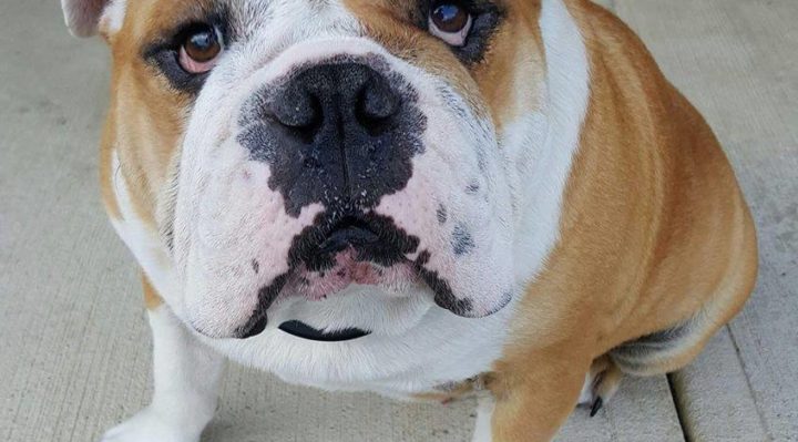 AmySuggars-720x399.jpg | Fox 11 Tri Cities Fox 41 Yakima