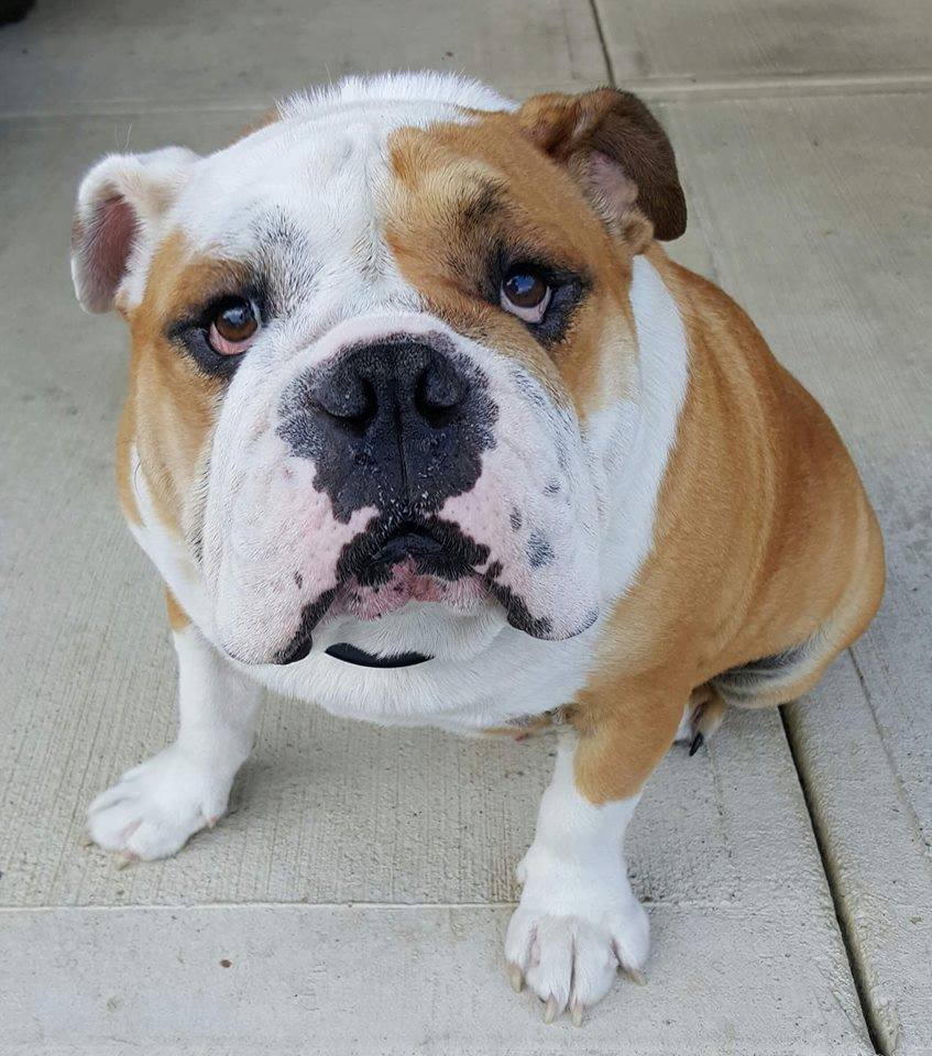 AmySuggars | Fox 11 Tri Cities Fox 41 Yakima