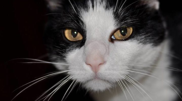 NanArthur-720x399.jpg | Fox 11 Tri Cities Fox 41 Yakima