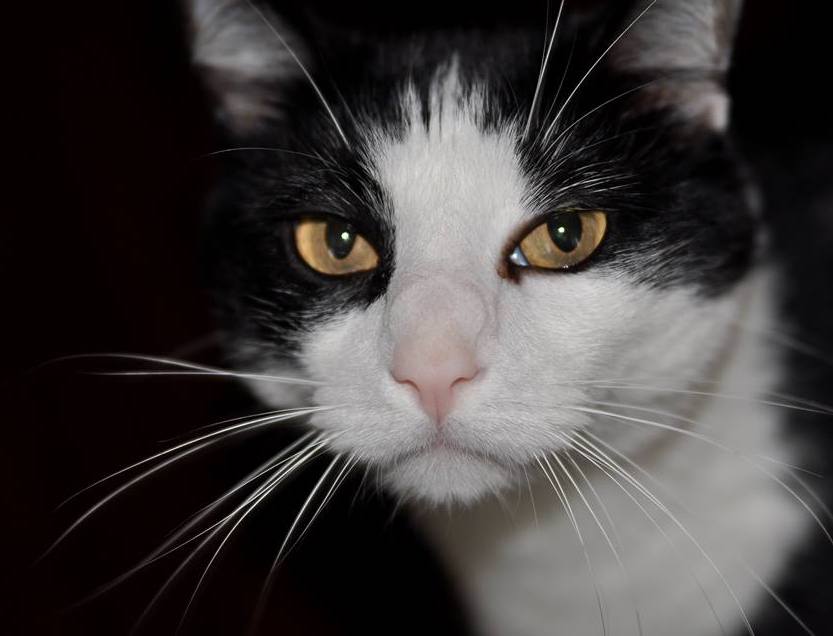 NanArthur | Fox 11 Tri Cities Fox 41 Yakima