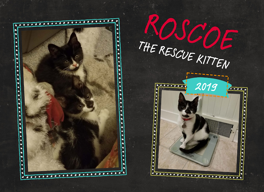 | Fox 11 Tri Cities Fox 41 Yakima