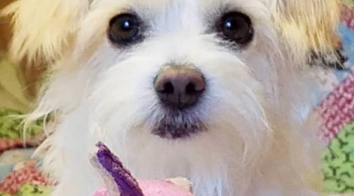 JamieWilkieJellyfish-720x399.jpg | Fox 11 Tri Cities Fox 41 Yakima