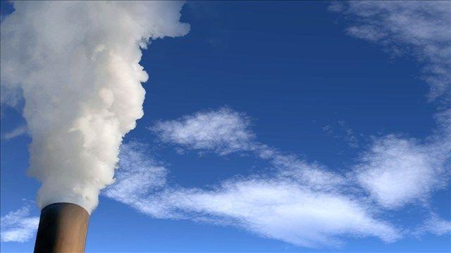 5bef2b5496e45.image_-2 | Fox 11 Tri Cities Fox 41 Yakima