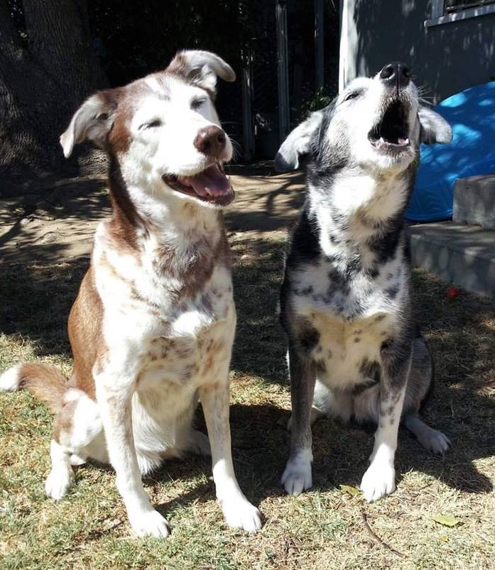 ShannonThier | Fox 11 Tri Cities Fox 41 Yakima