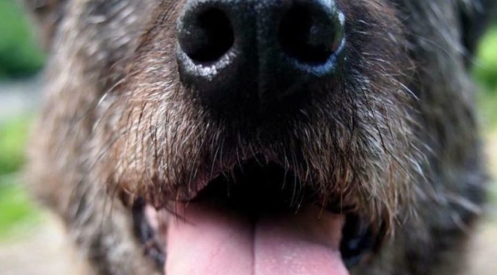 JenniferBristol-768x716 | Fox 11 Tri Cities Fox 41 Yakima