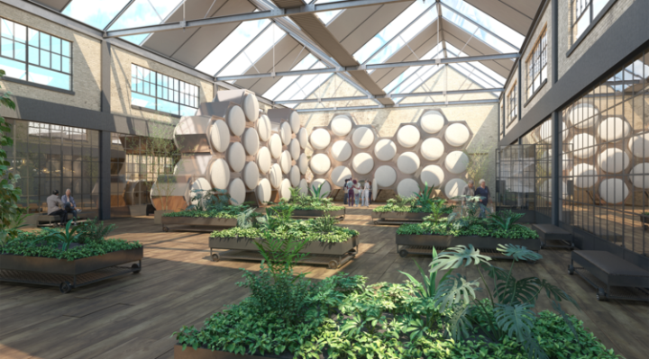 5cbdf2b1ca78a.image_-720x399 | Fox 11 Tri Cities Fox 41 Yakima