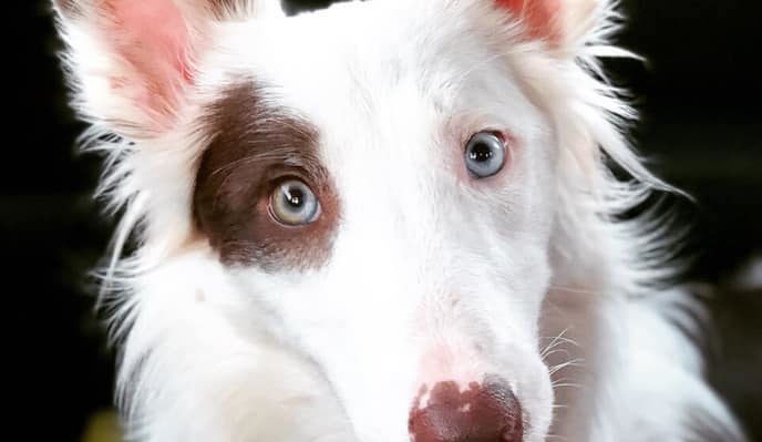 Kelli-annReilly | Fox 11 Tri Cities Fox 41 Yakima