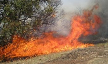 How To Protect Your Home This Fire Season