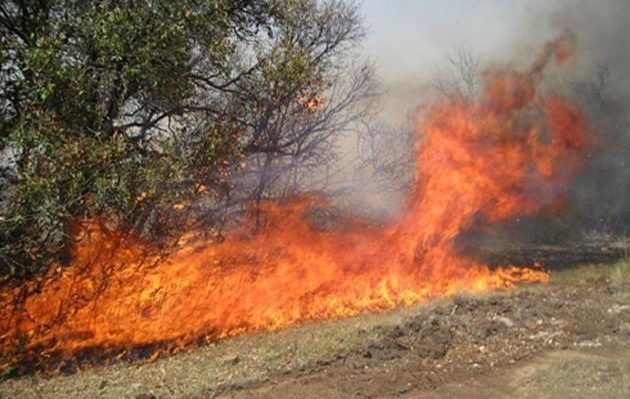 5bfdd45d2a97e.image_-630x399 | Fox 11 Tri Cities Fox 41 Yakima