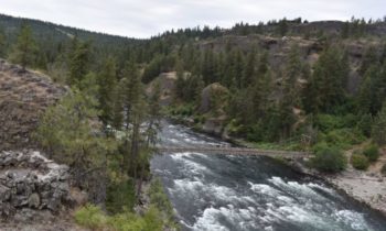 No Discover Pass required at Washington State Parks this weekend