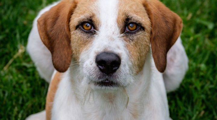 StevenCogswellGerald-768x734 | Fox 11 Tri Cities Fox 41 Yakima