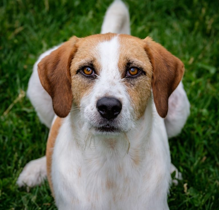 StevenCogswellGerald-768x734 | Fox 11 Tri Cities Fox 41 Yakima