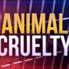 Tennessee woman charged with animal cruelty after taking animals to shelter in U-Haul van