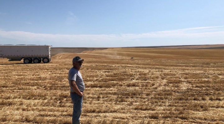 5d3e2e624030d.image_-720x399 | Fox 11 Tri Cities Fox 41 Yakima