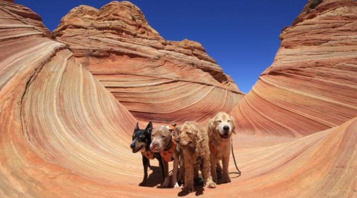 NathalieMosbachSmith-768x512 | Fox 11 Tri Cities Fox 41 Yakima