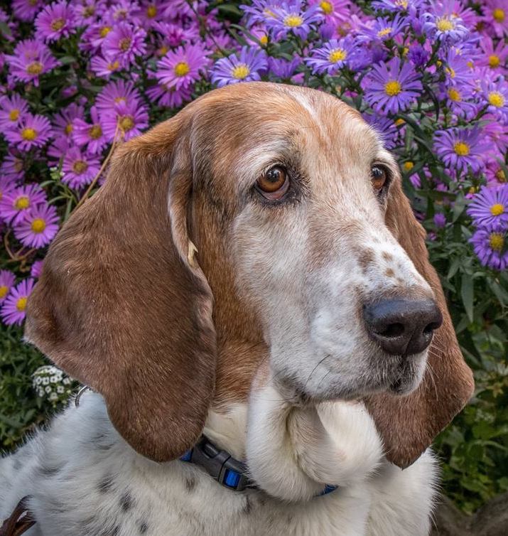 | Fox 11 Tri Cities Fox 41 Yakima