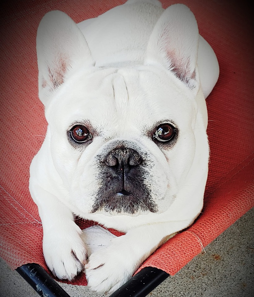 | Fox 11 Tri Cities Fox 41 Yakima