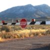 ‘Storm Area 51’ originator pulls out of Nevada desert event