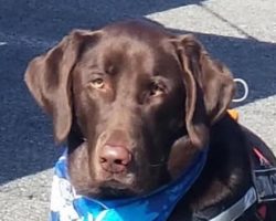 | Fox 11 Tri Cities Fox 41 Yakima