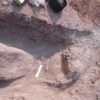 ISU researcher finds first Idaho dinosaur burrow