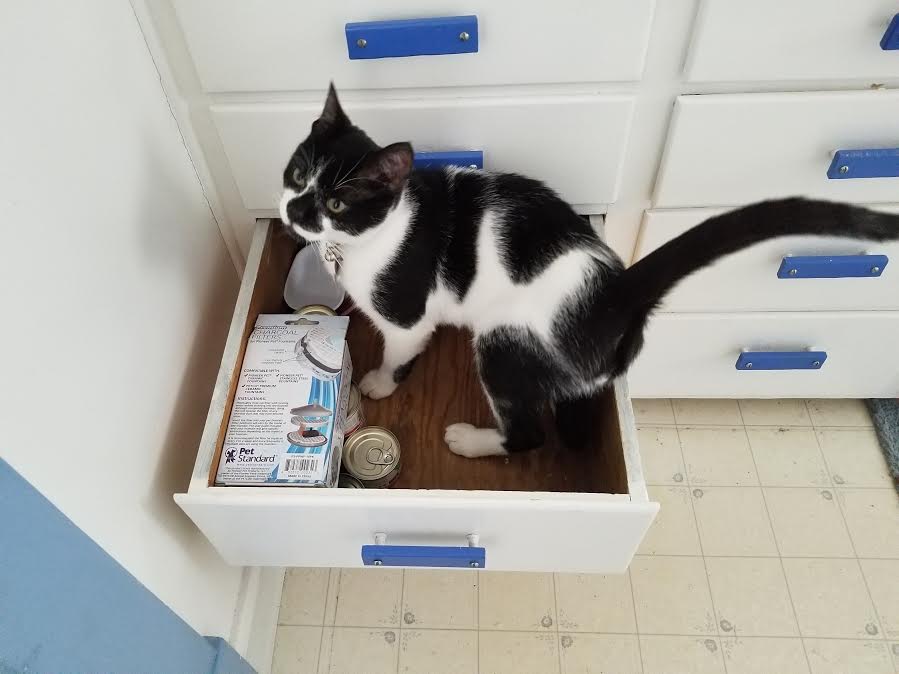 | Fox 11 Tri Cities Fox 41 Yakima