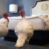Trump tells impeachment jokes before pardoning turkey