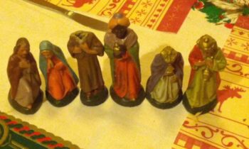 HAS YOUR PET CAUSED A HOLIDAY DISASTER?