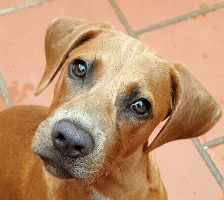 | Fox 11 Tri Cities Fox 41 Yakima