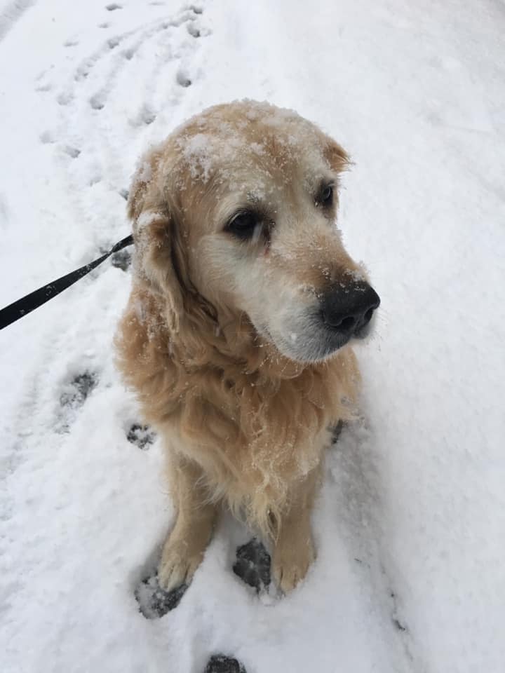 | Fox 11 Tri Cities Fox 41 Yakima