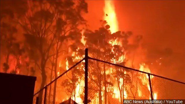 5e0fcbcb3d387.image_ | Fox 11 Tri Cities Fox 41 Yakima