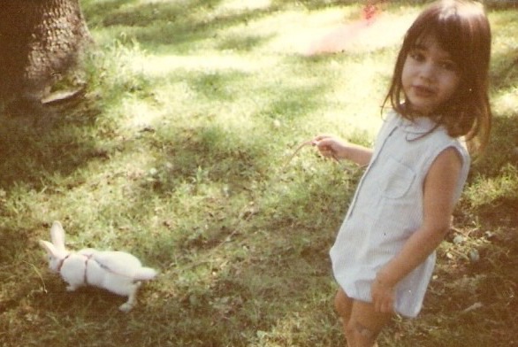 | Fox 11 Tri Cities Fox 41 Yakima