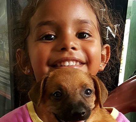 SaraMaynardCloseUp-445x399.jpg | Fox 11 Tri Cities Fox 41 Yakima