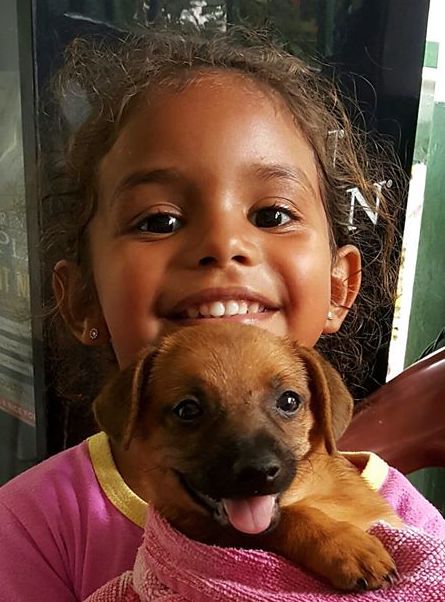 | Fox 11 Tri Cities Fox 41 Yakima