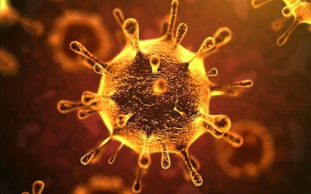 5e332b5706361.image_-640x399 | Fox 11 Tri Cities Fox 41 Yakima