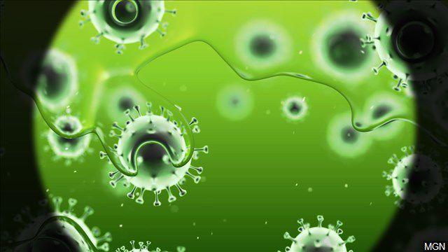 5e78a9a0429ab.image_ | Fox 11 Tri Cities Fox 41 Yakima