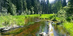 Washington DNR closing public lands to recreation activities