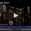 Seattle’s Corona Death Rate Drops