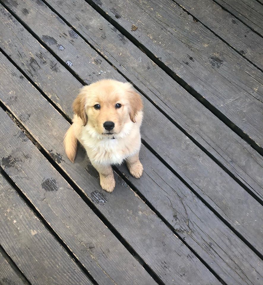 | Fox 11 Tri Cities Fox 41 Yakima