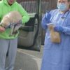 VETERINARY CLINICS AND CLIENTS ADJUSTING TO PANDEMIC PROTOCOLS
