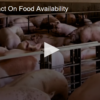 Covid Impact On Food Availability
