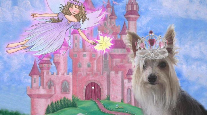 14238111_1136629053041713_2344192689350688132_n-720x399.jpg | Fox 11 Tri Cities Fox 41 Yakima