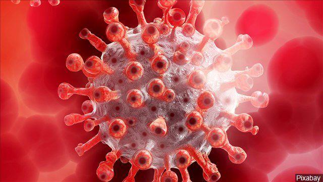 5ec6aacd27c4f.image_ | Fox 11 Tri Cities Fox 41 Yakima