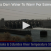 2020-05-21 Epa Reports Dam Water To Warm For Salmon Fox 11 Tri Cities Fox 41 Yakima