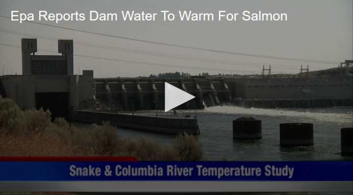2020-05-21 Epa Reports Dam Water To Warm For Salmon Fox 11 Tri Cities Fox 41 Yakima