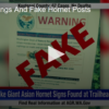 2020-05-27 Bear Warnings And Fake Hornet Posts Fox 11 Tri Cities Fox 41 Yakima